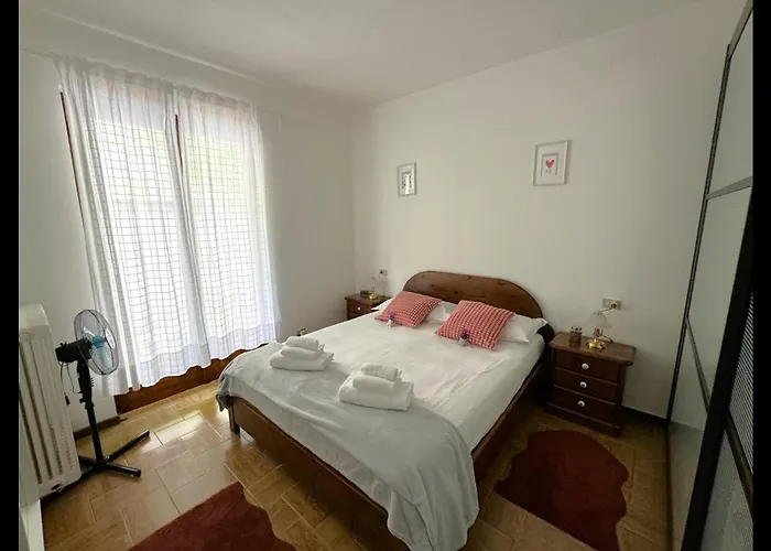 Katty House - Dizzasco