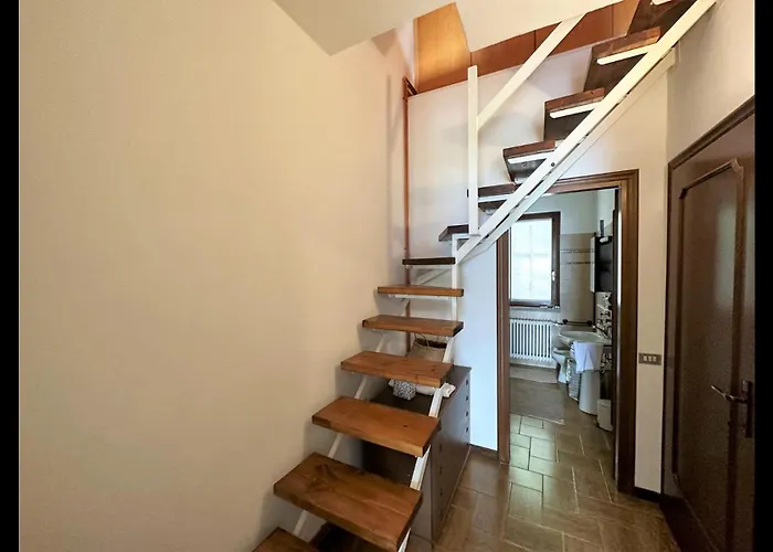 Katty House - Dizzasco Muronico